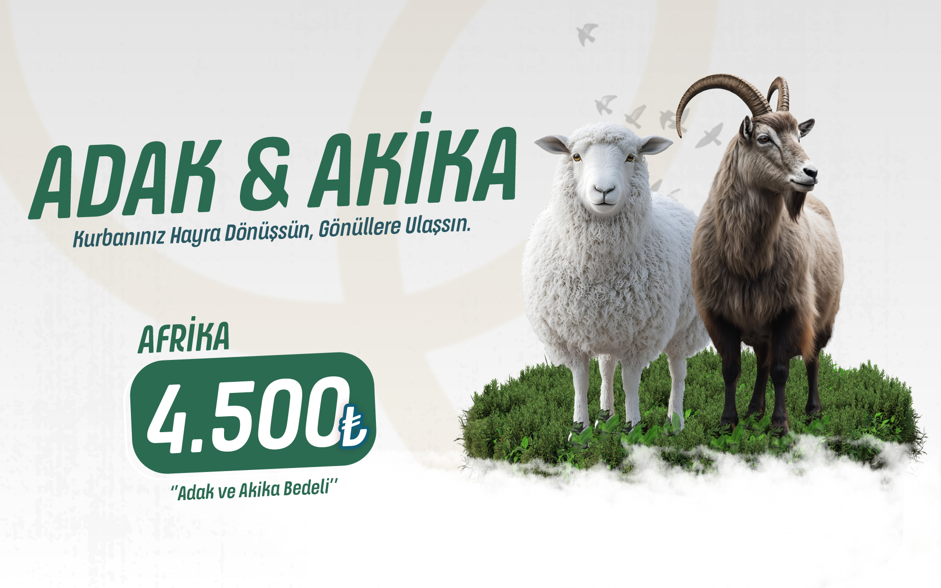 Adak & Akika